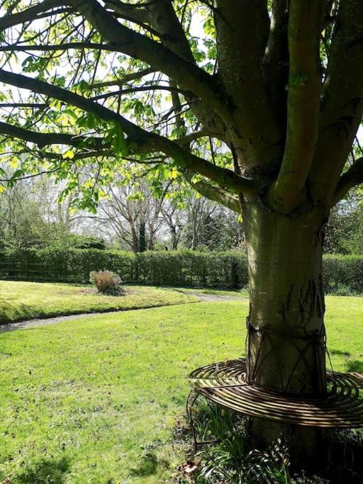 Host & Stay - Clara Cottage Bretforton Экстерьер фото
