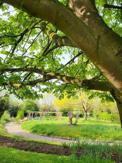 Host & Stay - Clara Cottage Bretforton Экстерьер фото